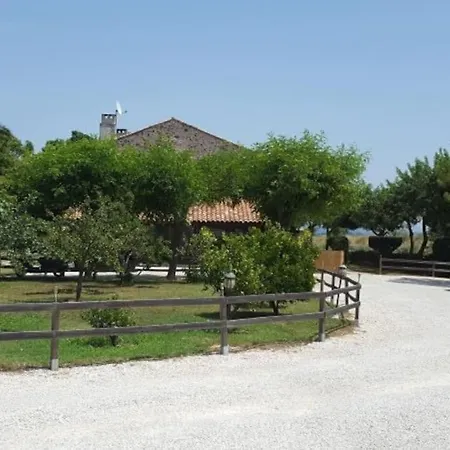 Jolie Sud Jardin Et Parking Privatif * Hyères